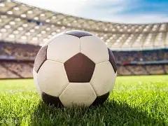 沈腾马丽等,实力派,张一山杨紫,IM电竞网页版下载,IM电竞网页版官网,IM电竞网页版登录,IM电竞网页版app