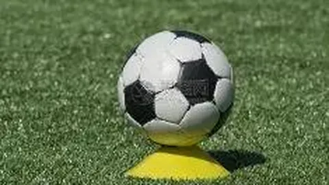 2025年中国篮球名人堂候选者名单公布