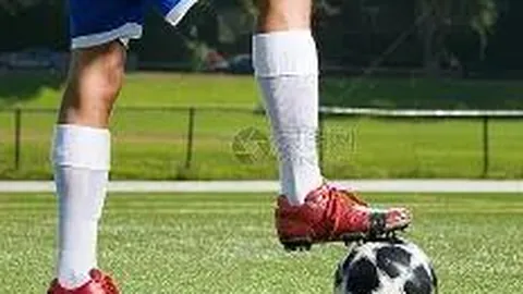 IM电竞网页版官网 资讯 130227 6d7