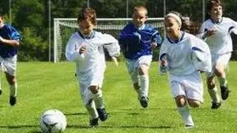 IM电竞网页版官网 产品 130837 odk