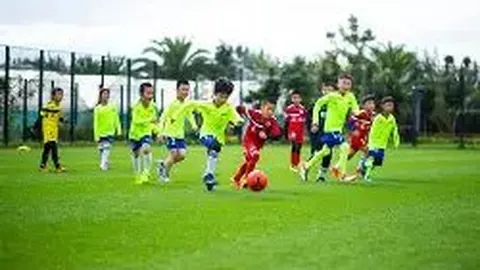 IM电竞网页版官网 产品 102000 vfh