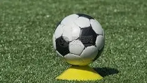 《新赛季中超本土教练展望：郑智陈涛领衔，挑战重重，未来可期！》