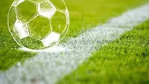 IM电竞网页版官网 资讯 100512 nyu