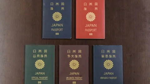 IM电竞网页版官网 资讯 102840 k93